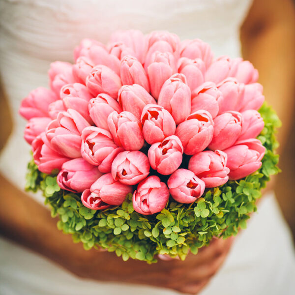 Bouquet tulip e ort-0