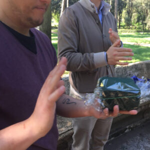 Corso – The Flower Hunter of Villa Borghese-4218