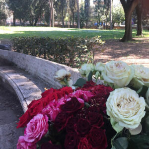 Corso – The Flower Hunter of Villa Borghese-4226