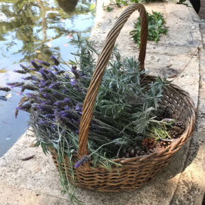 Corso – The Flower Hunter of Villa Borghese-4281