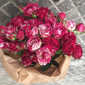 Bouquet Roselline-4578